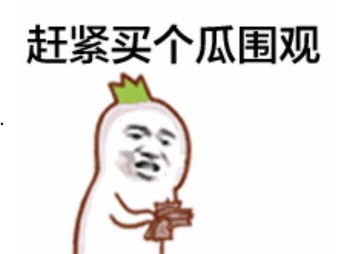 吃瓜群众点唱视频,热门视频背后的音乐盛宴