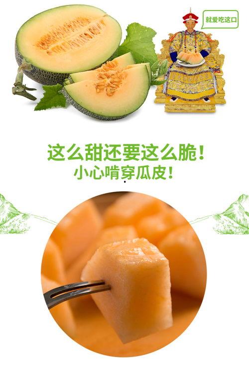蜜瓜可以给鸡吃吗视频,探索新型鸡饲料的奥秘