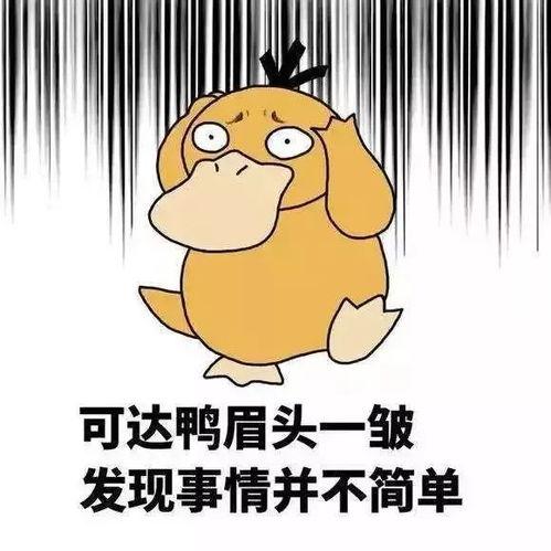 网红猪小七吃瓜视频大全,趣味横生的网红美食之旅
