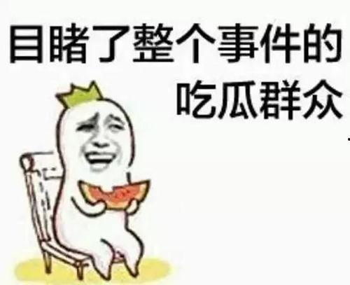 周六吃瓜群众直播视频,吃瓜群众带你领略瓜界风云