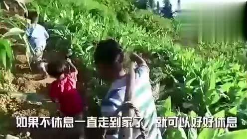 滨职吃瓜视频,揭秘校园热点背后的真相