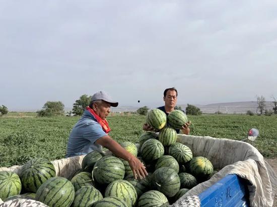 乡村优品吃瓜视频,探寻地道乡村美食之旅